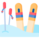 Skis and Snowboards Skis and Snowboards